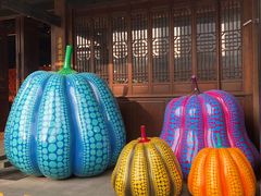 -ZARA(成都远洋太古里店)