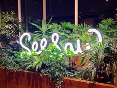-Seesaw Coffee(朝阳大悦城店)