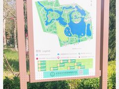 -大兴滨河森林公园