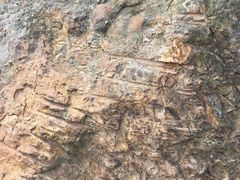 -羚羊峡古栈道森林公园