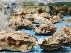 -小天鹅戴斯酒店鲸鲨百汇创作料理