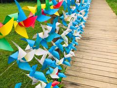 -武陵山森林公园