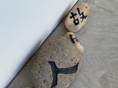 -金泽21世纪美术馆