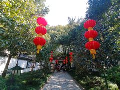 -秋霞圃