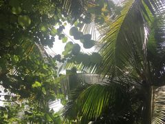 -三亚湾海居铂尔曼度假酒店