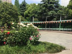 -常州古运河南大街文化旅游区-人民公园