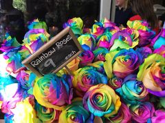-The Grounds of Alexandria
