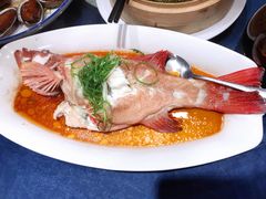 东星斑-顺风山庄(水濂山店)