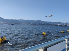 -海埂大坝
