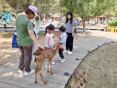 -北京鹿世界主题园