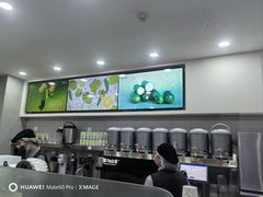 -雾与山茶(大禹城店)