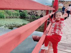 -世界恐龙谷景区