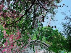 -深圳国际园林花卉博览园