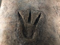 -湖南省地质博物馆