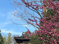 -慧因高丽寺