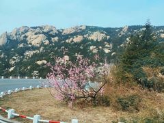 -崂山巨峰游览区