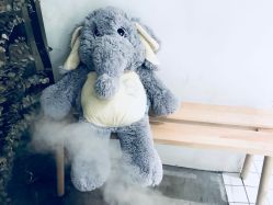 大厅-大象造型