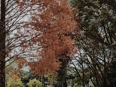 -金山公园