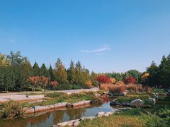 -大望京公园