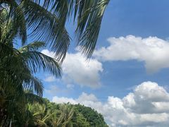 -深圳湾公园(南山区)