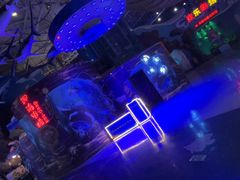 -烟台海昌鲸鲨海洋公园