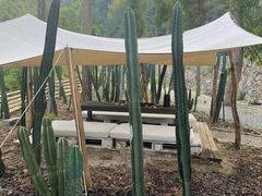 -MOJ coffee(瓯海泽雅水碓坑店)