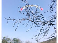 -中国茶叶博物馆(双峰馆区)