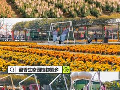 -盈香心动乐园