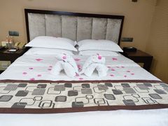 -长沙小天鹅戴斯酒店