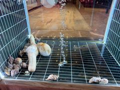 -北海富丽华大酒店·御园中餐厅