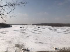 -丁香湖公园