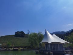 -帐篷客·溪龙茶谷度假酒店