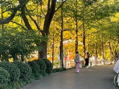 -赭山公园