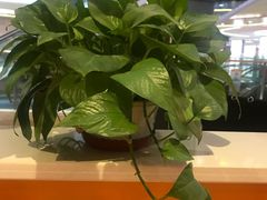 -鱼你在一起(南开天佑城店)