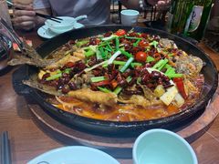 -老板恋上鱼(高新万达店)