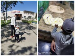 -石家庄市动物园