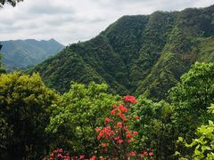-水墨汀溪风景区