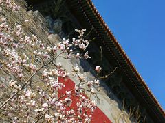 -东华门大街小区