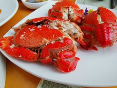 -视界美食自助餐厅·石家庄希尔顿酒店