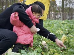 -前小桔亲子创意农场·草莓采摘·露营烧烤