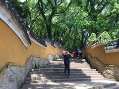 -普陀山风景名胜区-法雨禅寺