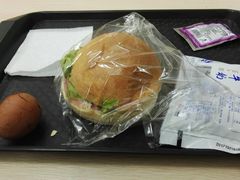 -应急管理部应急总医院(主院区)