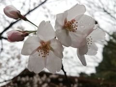 -阿哈湖国家湿地公园