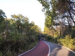 -艾溪湖湿地公园