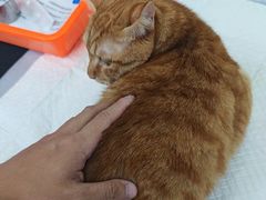 -美联众合动物医院·24h转诊中心