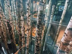 -Metal hands·铁手咖啡