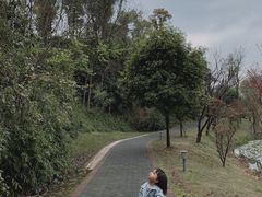 -东岳体育公园