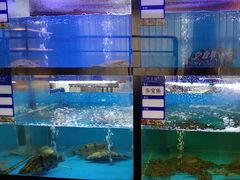 -聚宾楼·烤鸭·家宴(科技三路店)