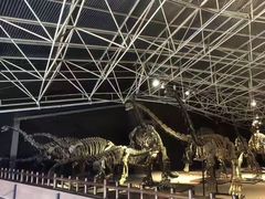 -世界恐龙谷景区