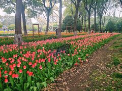 -上海鲜花港